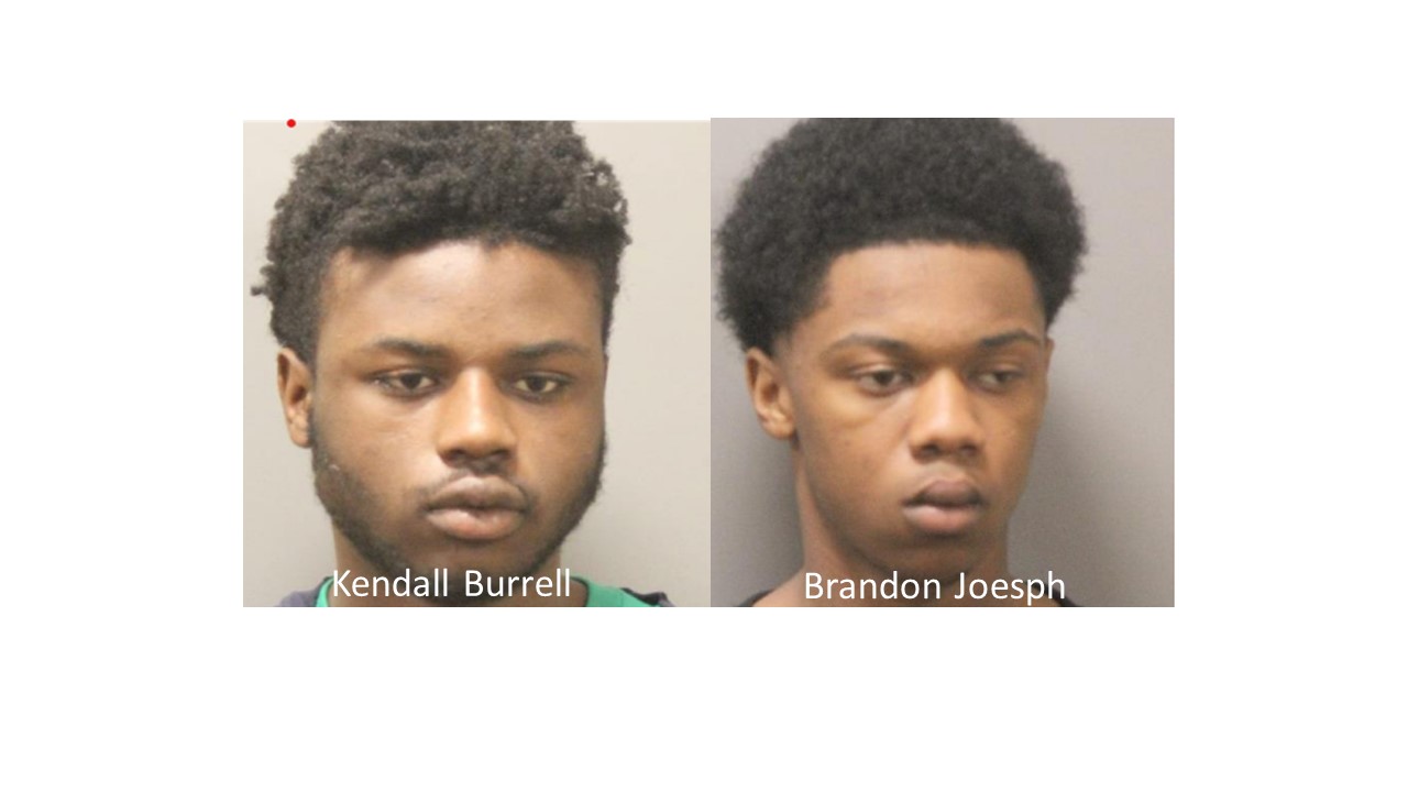 NOPD Seeking Suspects in Auto Theft